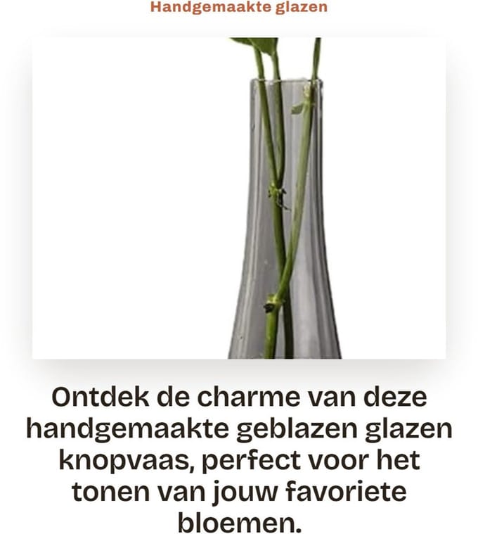 Dailygoods- Glazen Vaas Groot - Handgemaakt - Decoratieve Vaas - Transparant - Bloem Vaas - Middelpunt voor Bruiloft