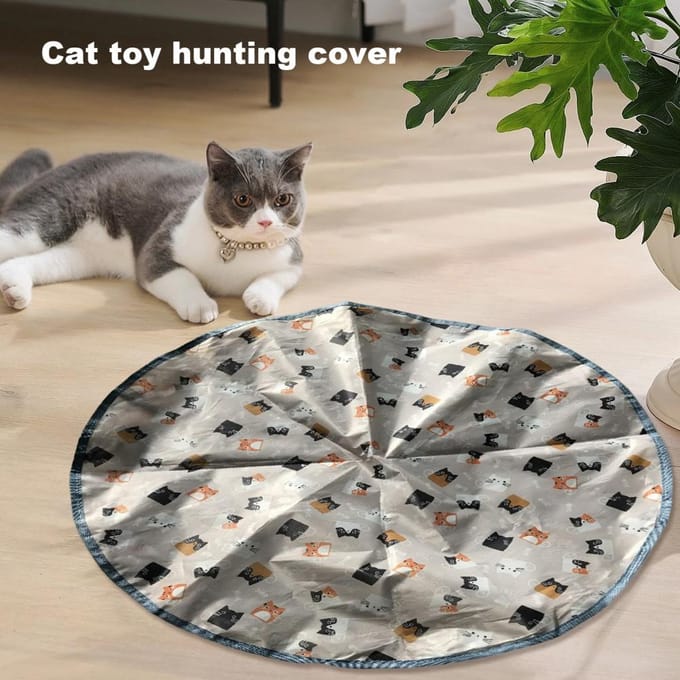 Jouets pour chats avec couverture de chasse, Jouets pour chatons cache-cache, Activateurs de mouvement interactifs, Jouets de sport pour chats, pour chats/chatons d'intérieur gray