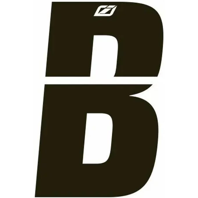 Brief Insight B