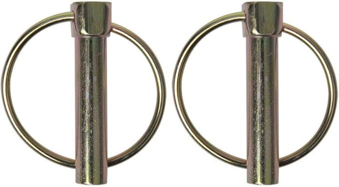 ProPlus Borgpen - Ø 10 mm - met Ø 39 mm ring - 2 stuks - robuust staal - zilver
