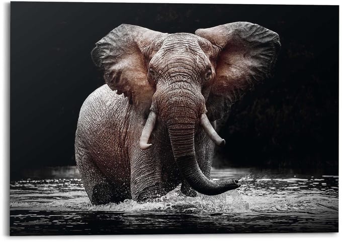 Schilderij Olifant - 100 x 140 - Hout - REINDERS