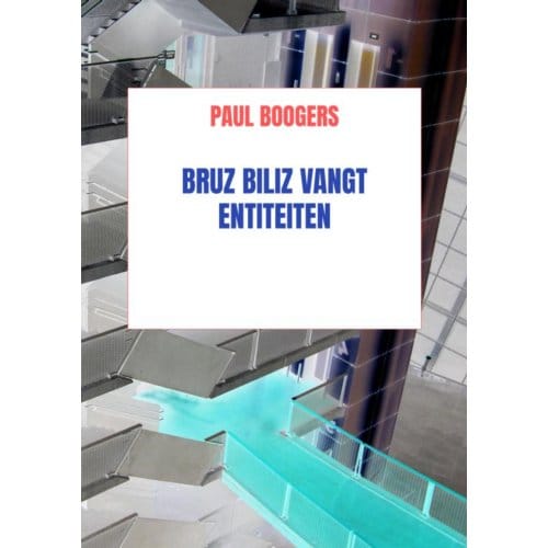Bruz Biliz Vangt Entiteiten - Paul Boogers