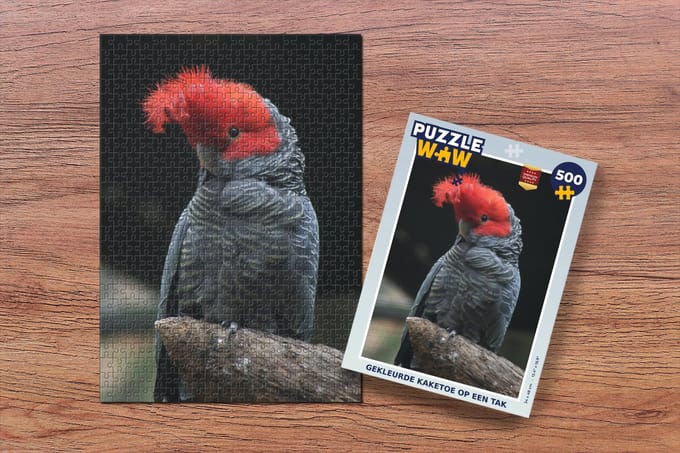 Puzzel Gekleurde kaketoe op een tak - Legpuzzel - Puzzel 500 stukjes