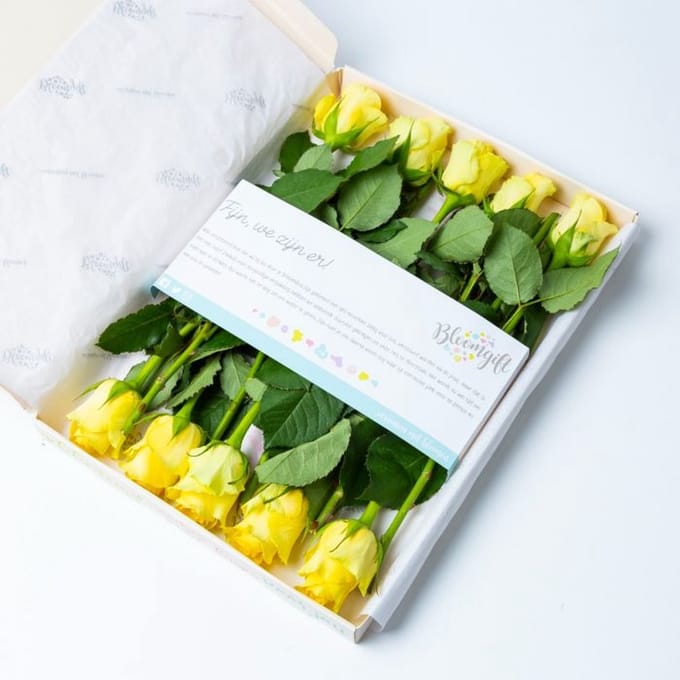 BloomKado | Brievenbus bloemen | Gele Rozen | 10 stelen | 100% Vers | Rozen per Post