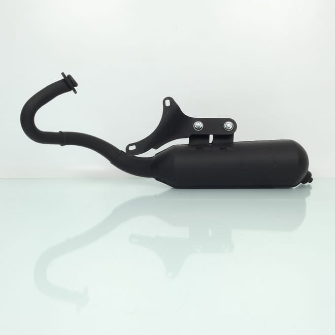 Pot échappement Malossi Wild Lion pour scooter Gilera 50 Runner 2T 3216582 Neuf