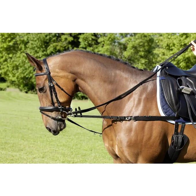 Zijkant nylon paardenteugels USG