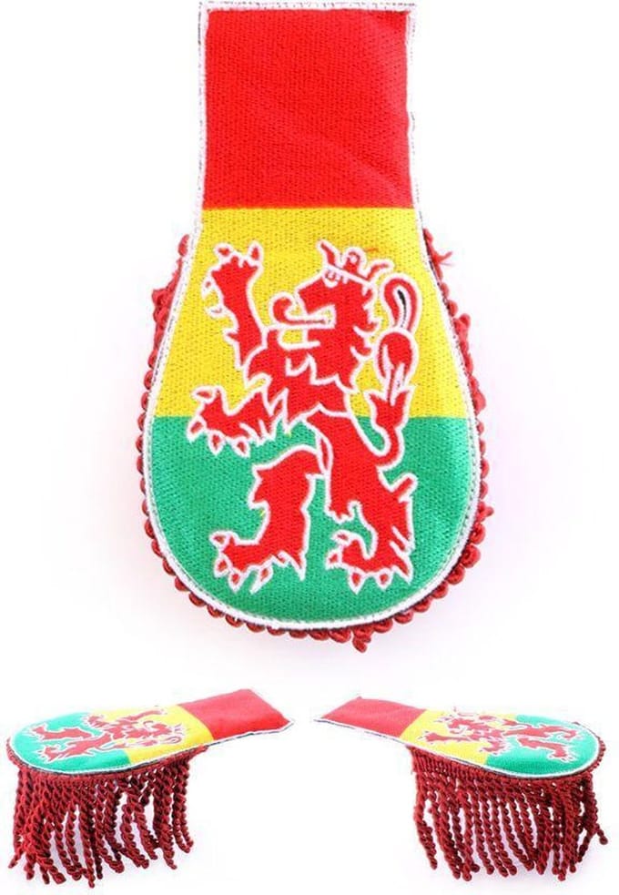 Set schouder epauletten carnaval met leeuw