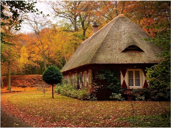 Volwassen Puzzel - Legpuzzel - Ontspanning - Natuurlijke Afbeeldingen - 500 Stukjes