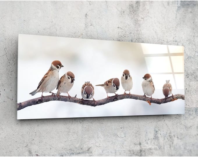 Panorama Glasschilderij - Vogels - Wanddecoratie - 92 x 36 cm