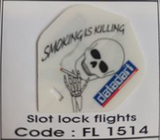 Dart Flights - 10 sets (30 stuks) - 100 micron - Slot Lock Flights