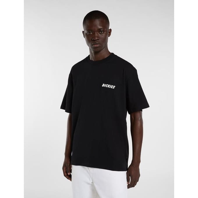 T-shirt Dickies Dry Ridge