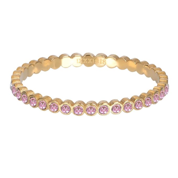 Small Circle Stone Pink - iXXXi - Vulring 2 mm - Goud