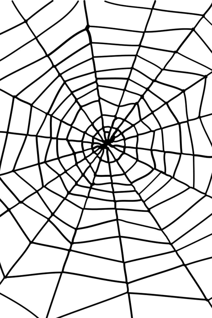 Smiffys - Spider & Spiders Web Halloween Decoratie - Zwart