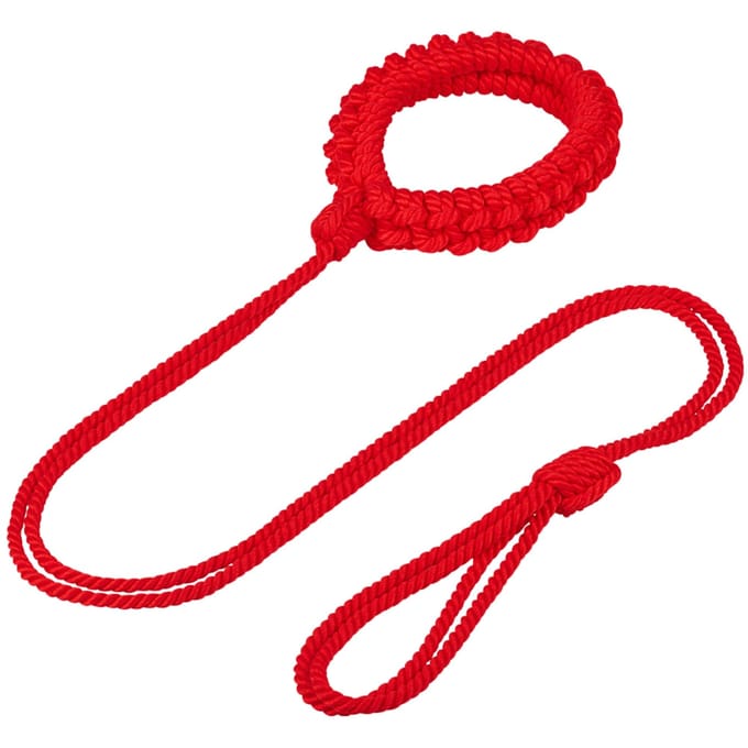 EIS, halsband, 'halsband incl leiband', halsband, verstelbaar