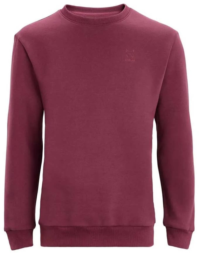 Altus Luxor Hoodie Roze L Man