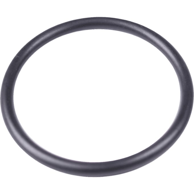 O-ring