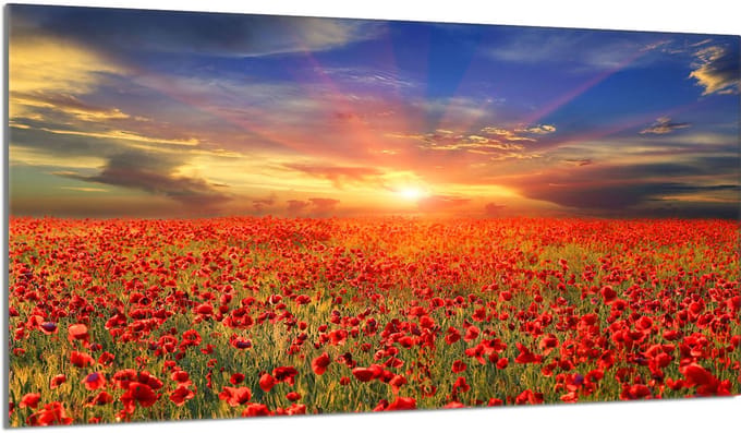 TMK ArtDeko - Snijplank - 90x52 cm - Maki - Gehard Glas