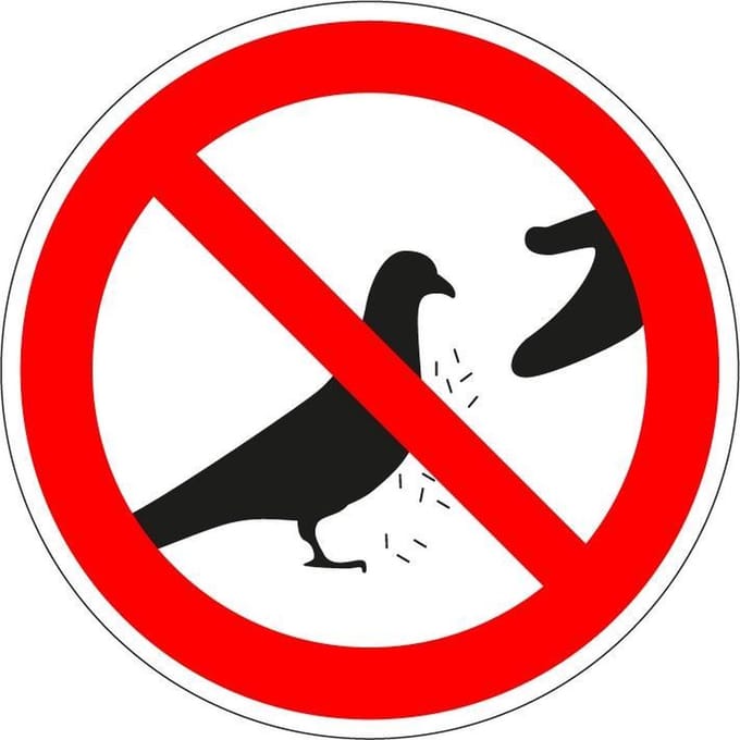 Verboden duiven te voeren bord - kunststof 100 mm