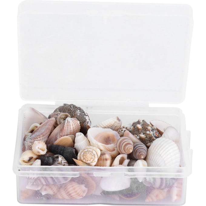 Sieraden Craft DIY Schelp Zeeslak Set Natuurlijke Schelp Conch Bruiloft Huisdecoratie gray