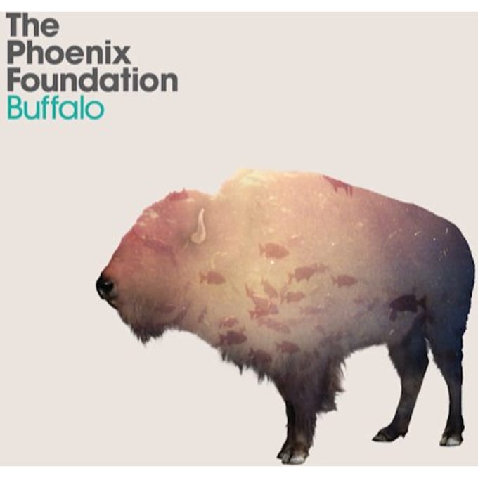 Buffalo - Phoenix Foundation