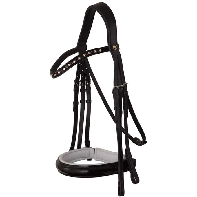 Anatomische hoofdstellen BR Equitation Wendover