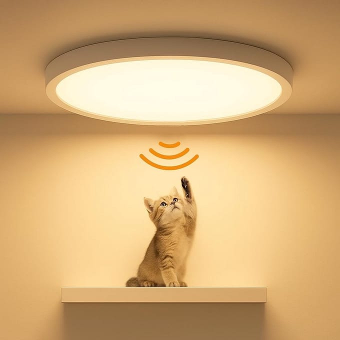 Ronde LED Plafondlamp met Bewegingssensor en Instelbare Kleurtemperatuur
