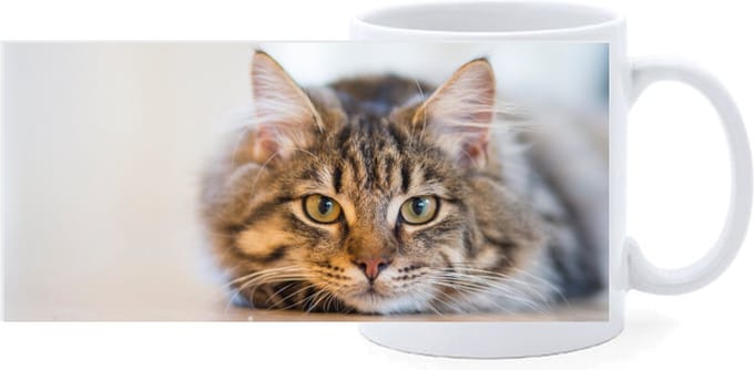 Beker - Poes Liggend