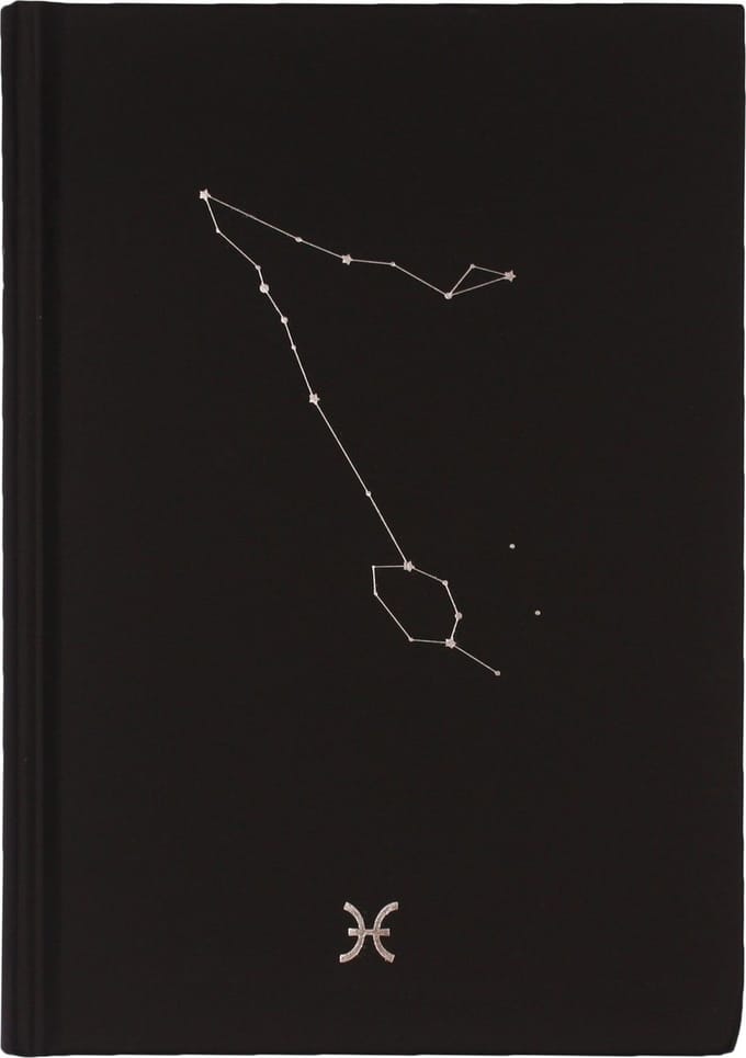 D6053-12 Dreamnotes notitieboek sterrenbeeld: vissen 19 x 13,5 cm
