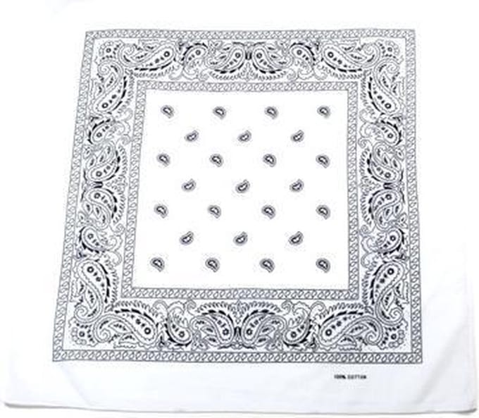 Zac's Alter Ego Bandana Paisley  Wit