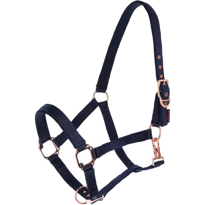 Covalliero Classy Hoofdstel met Gouden Gespen - Maat Full