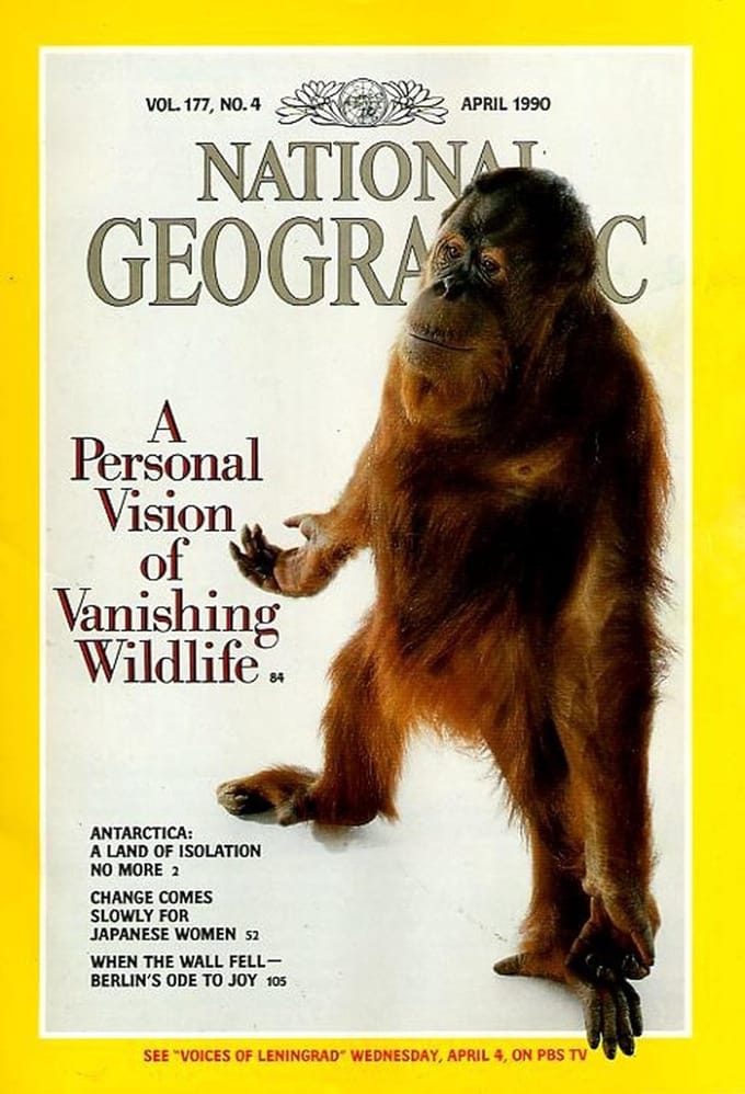 NATIONAL GEOGRAPHIC APRIL 1990 EDITIE ENGELS TIJDSCHRIFT
