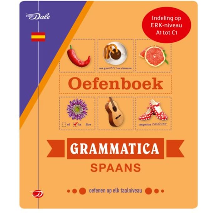 Van Dale Oefenboek Grammatica Spaans - Christina Irún Chavarría