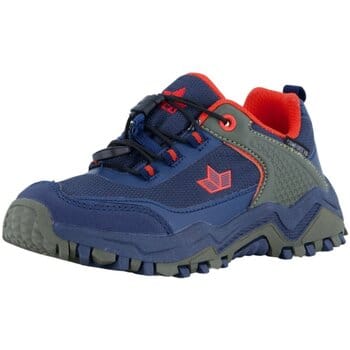 Nette Schoenen Lico -