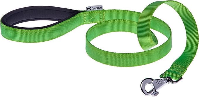 hondenlijn Daytona 120 x 2,5 cm nylon groen