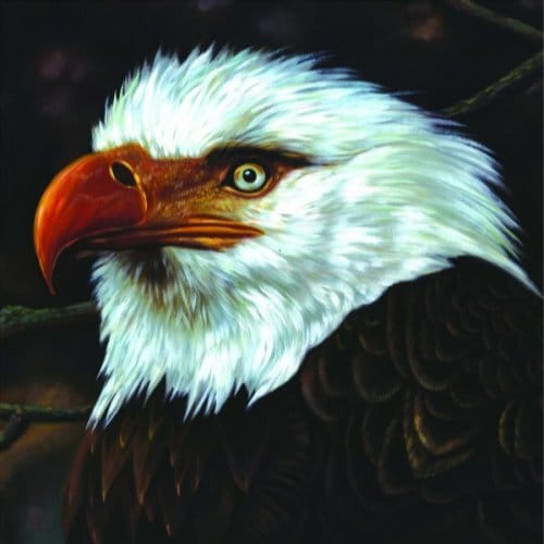 Mogwai - Hawk Is Howling (CD)