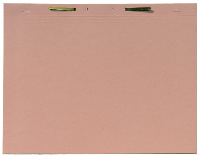 Binnenmap Djois folio met snelhechter 300gr chamois