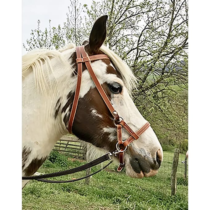 Zijhandgreep voor paard van leer Ronzon Legend
