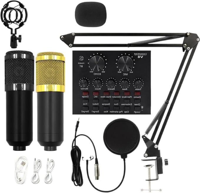 Opname Microfoon Set - Studio Kit - Muziek Opnemen - Plug en Play - 46.5 cm - Zwart