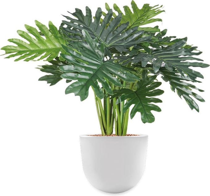 HTT - Kunstplant Philo Xanadu in Eggy wit H65 cm