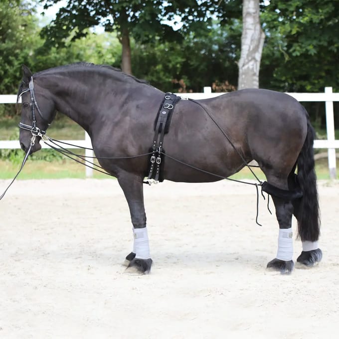 Paard sleutelkoord accessoire York