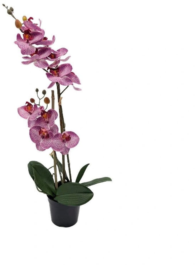 Phalaenopsis Orchidee in pot x2 50 cm Tiger Cerise kunstplant Buite...