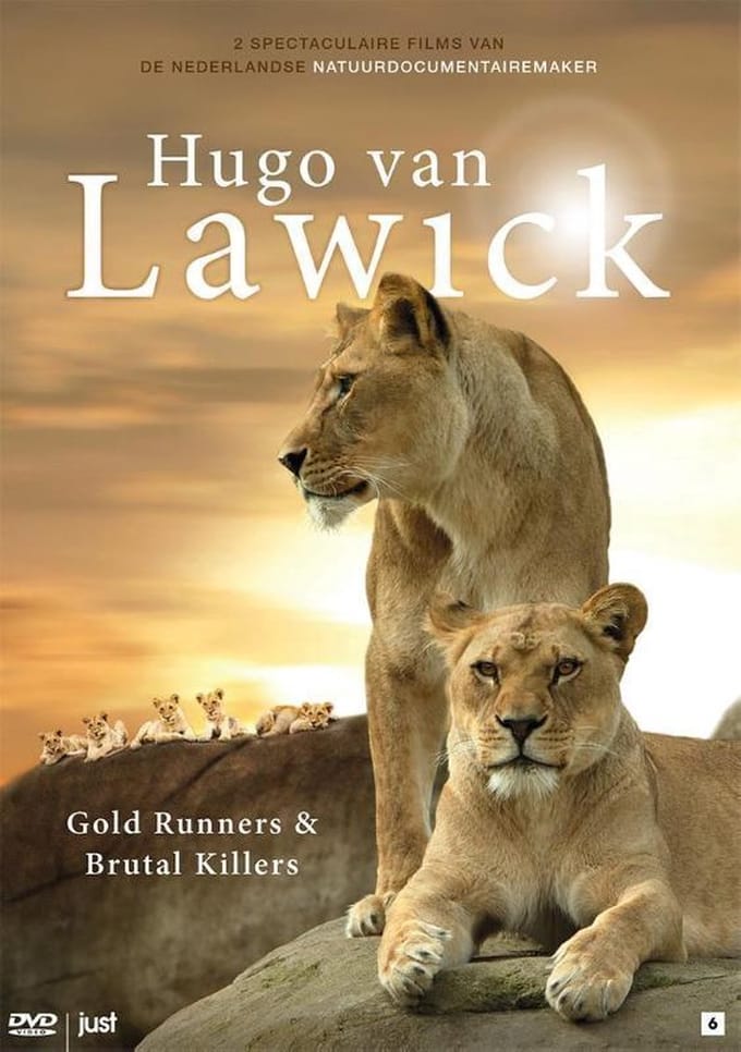 Van Lawick Gold Runners & Brutal K