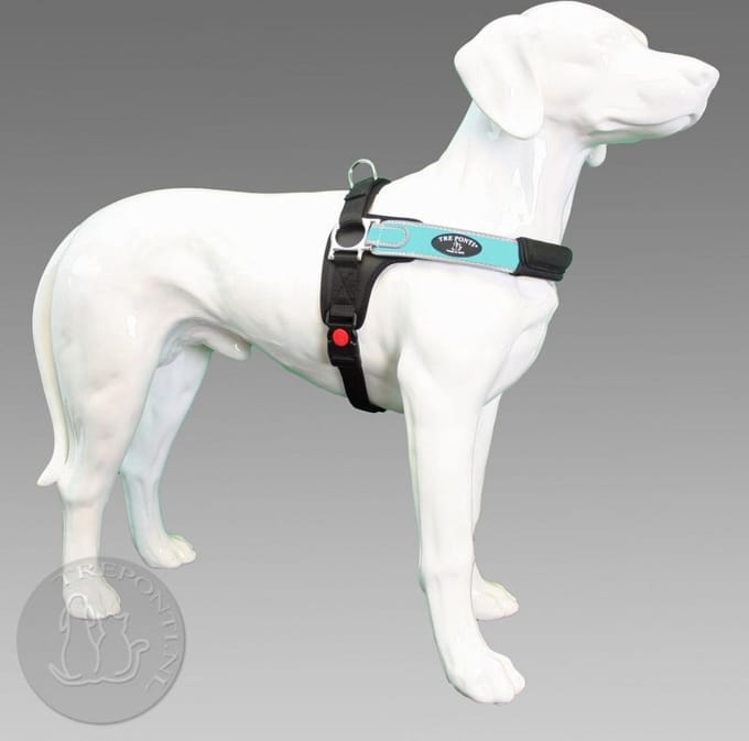 Tre Ponti Forza Tuig Maat M Blauw&Reflecterend - Borstomtrek 50 - 65 cm