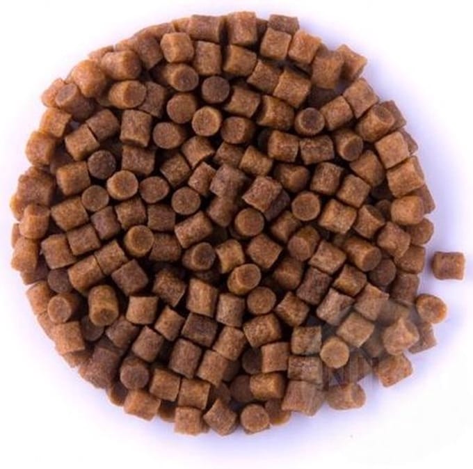 Coppens winter Koivoer 5 kilo Premium Coarse (sinking) 4,5 mm