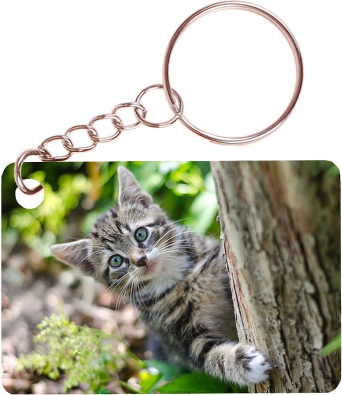 Sleutelhanger 6x4cm - Kitten in Tuin