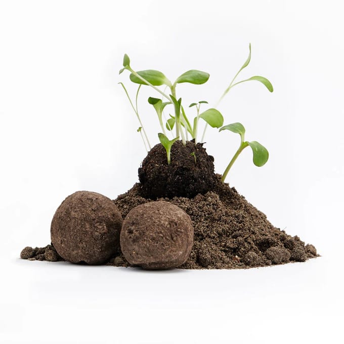 Die Stadtgärtner - Wilde bloemen - Zaadbommetjes - onverpakt- 50 stuks - creatief cadeau idee
