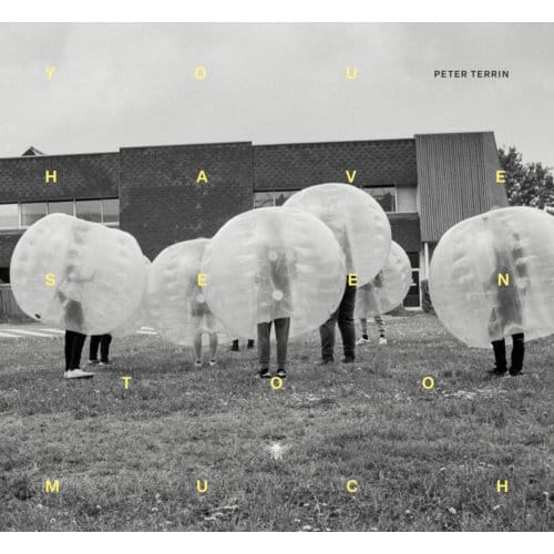 You Have Seen Too Much - Peter Terrin
