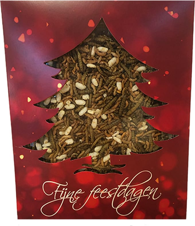 Kerst Doosje met Insectenmix voor Kippen Het Kerstkado