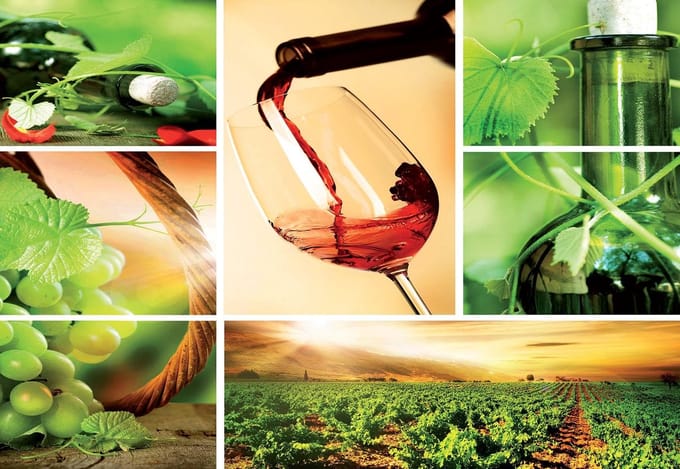 Fotobehang Wine | PANORAMIC - 250cm x 104cm | 130g/m2 Vlies