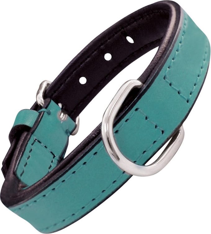 Dog collar Gloria Padded Turquoise 45 cm (45 x 2 cm)